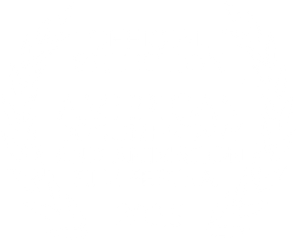 Official Selection, American Documentary & Animation Festival 2025